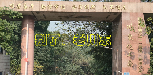 甲酸钙生产厂家